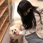 layesta音乐下载